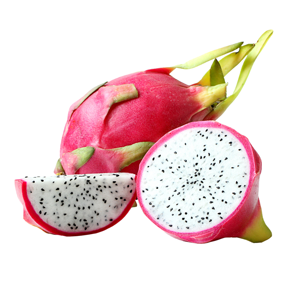 Fresh Dragon Fruit - SAPO DAKLAK CO.,LTD | FROZEN FRUIT AND VEGETABLE