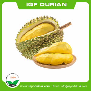 frozen durian iqf